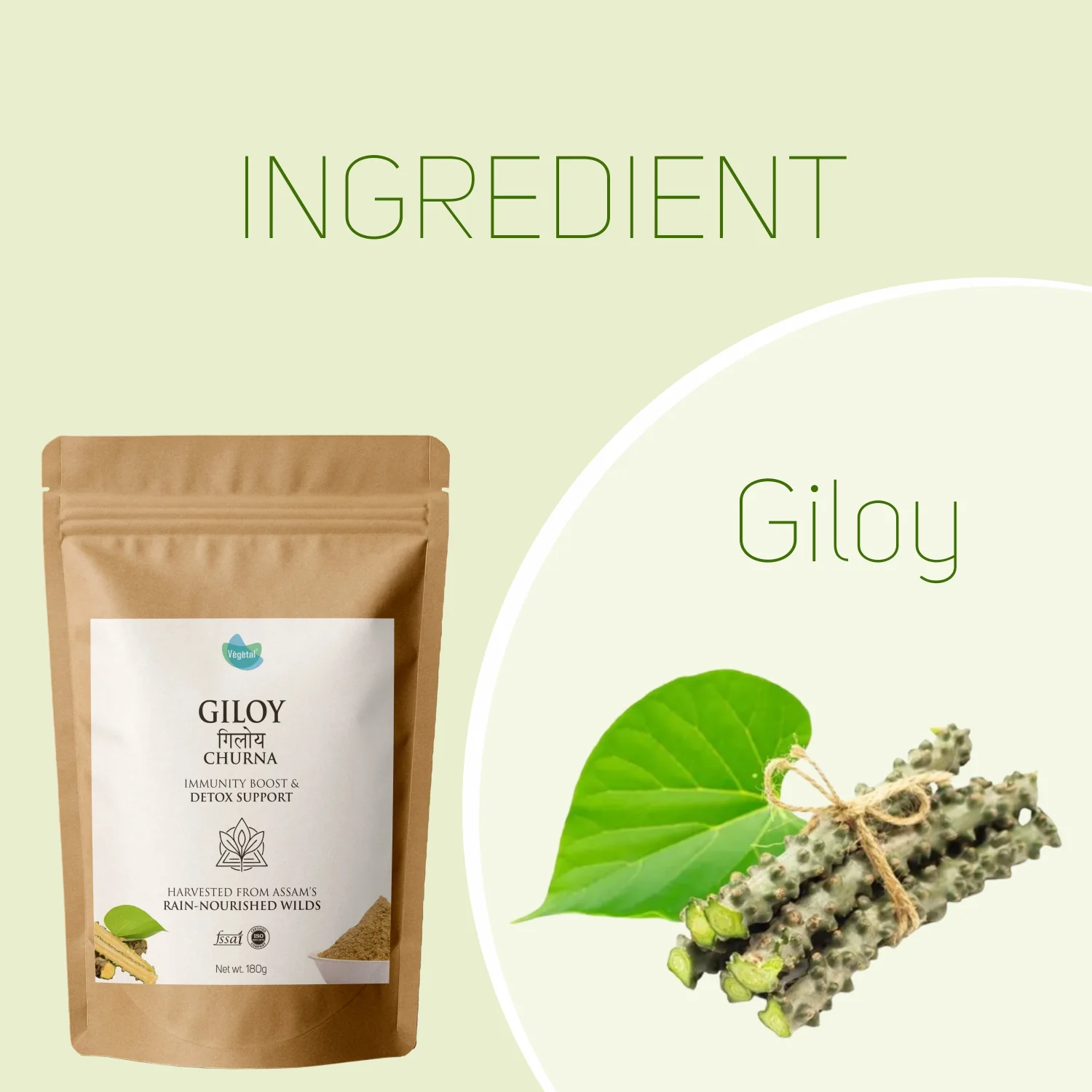 Vegetal Giloy Churna Powder 180g | Tinospora Cordifolia | Immunity Booster, Natural Detox, Ayurvedic Blood Purifier | Harvested from Assam’s Wilds | Herbal Supplement for Fever & Wellness - Image 6