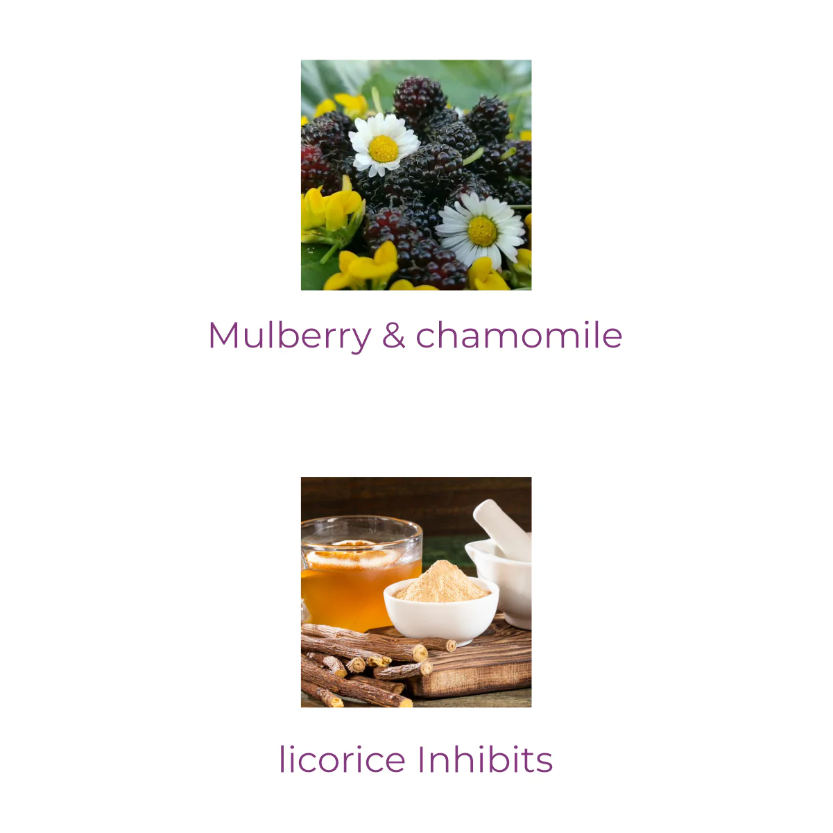 Glossage Premium Complexion Cream - Image 4