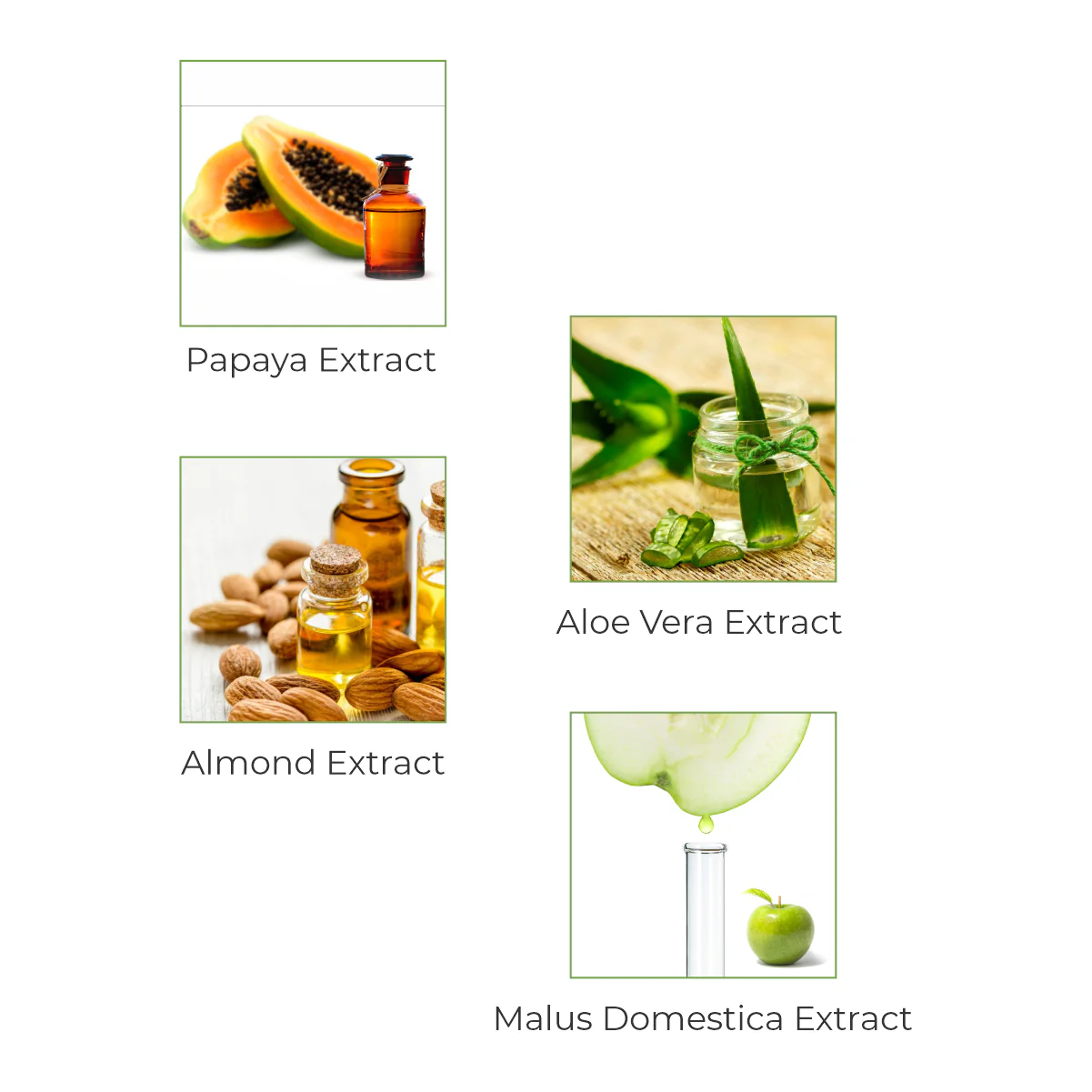 Papenglow Fairness Face Pack For Oily Skin With Papaya Extract - Image 4