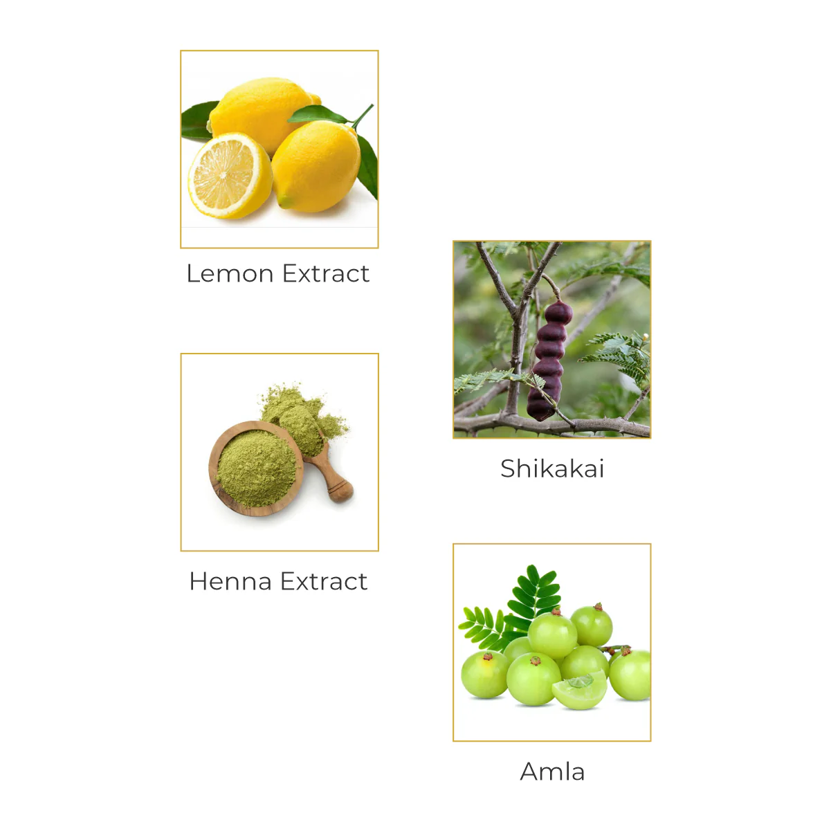 Vegetal Hair Conditioner - Made of 100% natural bio-active extracts of Amla, Shikakai & Lemon- Free of Parabens , Silicon & Harmful Chemicals - Image 4