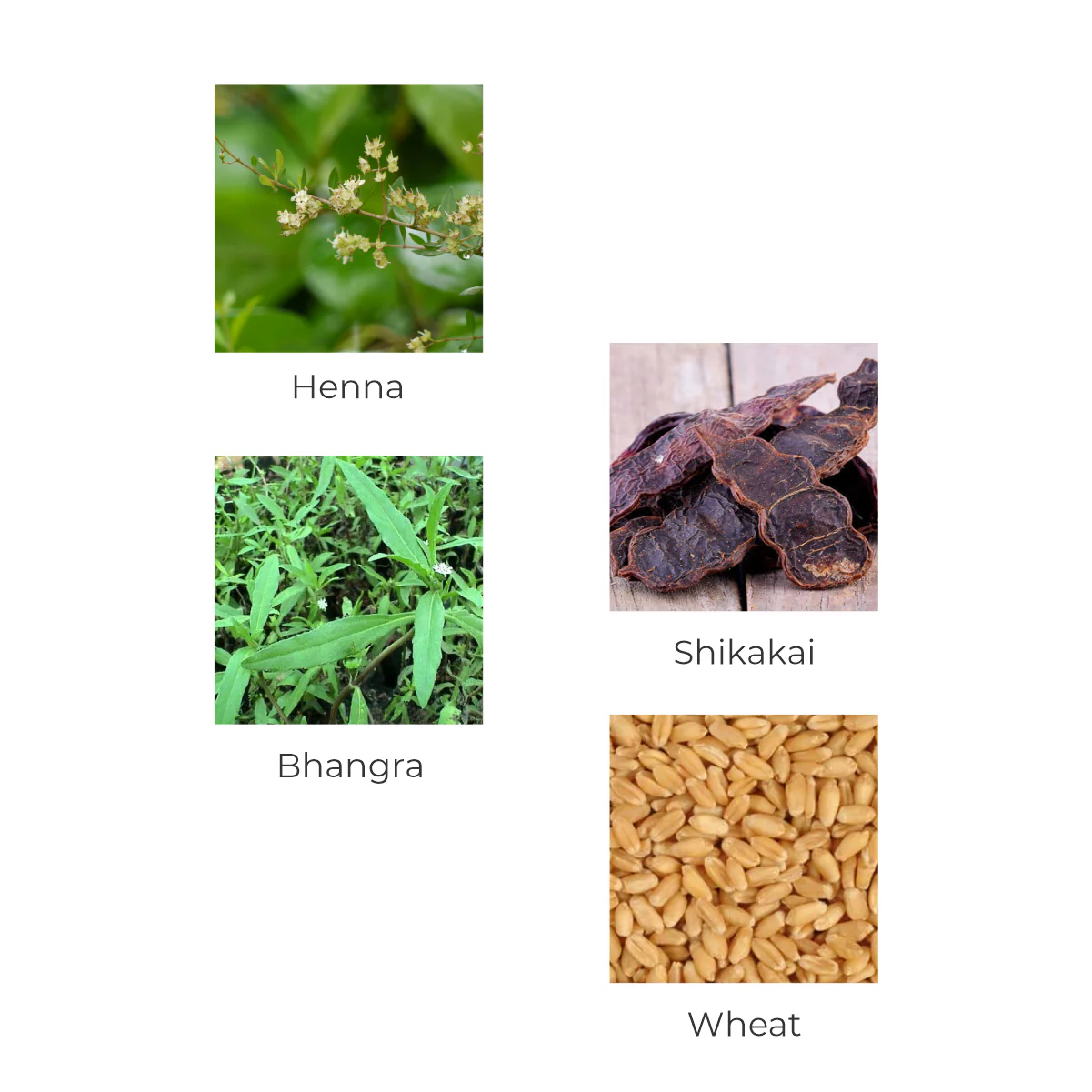 Vegetal HairWell -An Hair Fall Treatment And Regrowth Product 100g - Image 4